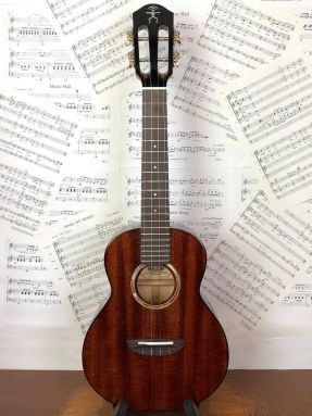 aNueNue AMM2 Africa Mahogany II Concert Ukulele All Solid with gigbag