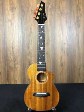 Enya EUC concert ukulele